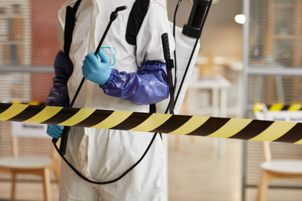 Professional Sewage Cleanup technician working in Hanson, MA